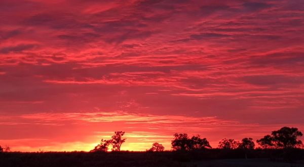 Yanga Creek Rest Area