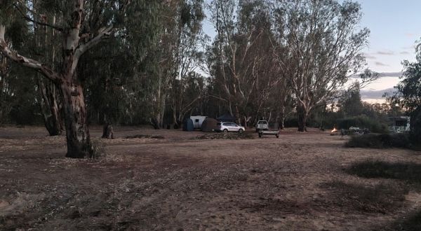 Thiele's Sandbar Camping Area