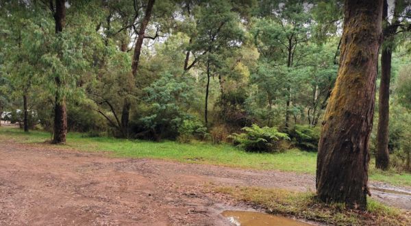Burnt Bridge Camping Area