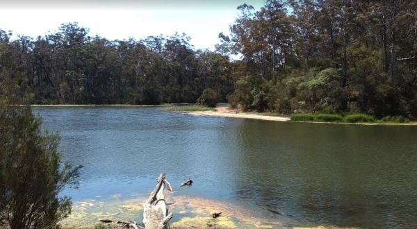 Camerons Arm No1 Camping Area