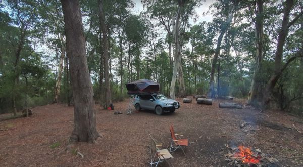 Delegate River Camping Area