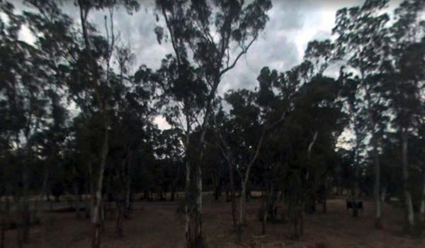 Euroley Bridge Reserve Rest Area