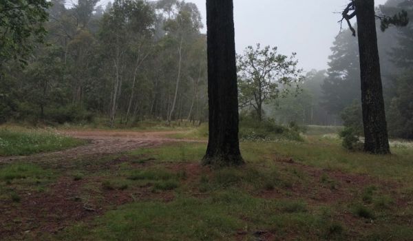 Jenolan Caves Road Rest Area