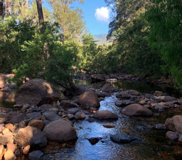 Alligator Creek Camping Area