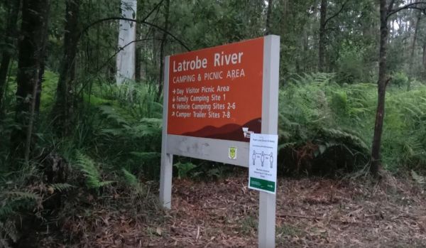 Latrobe River Camping Area