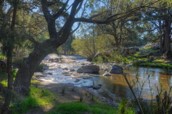 Flat Rock Camping Area