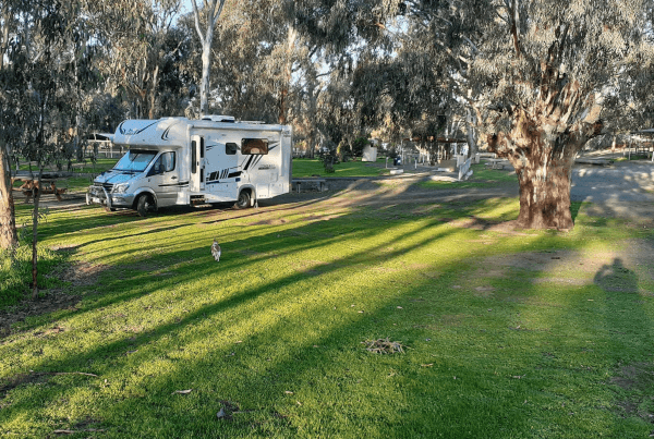 Echuca Rotary Park - Self Contained Caravan and RV Park