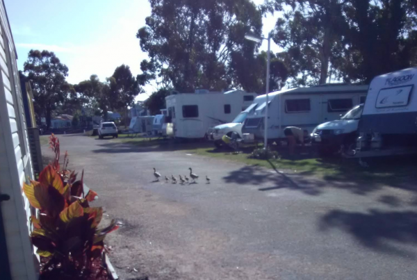 Allawah Caravan And Boat Park