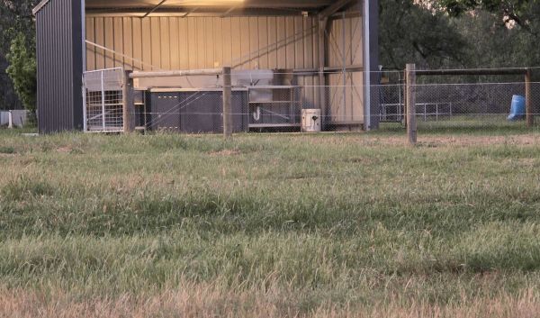 Nyah Lions Club Recreation Reserve Camping Area 7 Day Limit