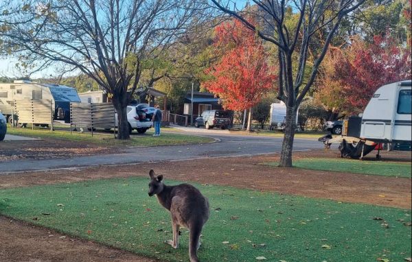 NRMA Halls Gap Holiday Park BIG4