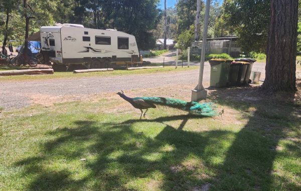 Jubilee Lake Holiday Park & Cafe