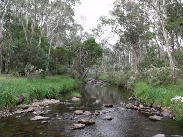 Little Styx River Camping Area