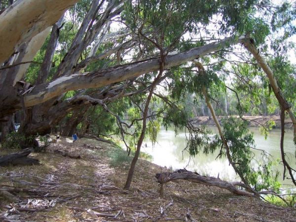 Long Beach Camping Area