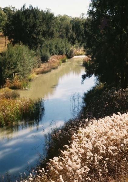 Myall Creek Rest Area