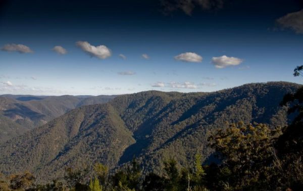 Raspberry Lookout Gibraltar Range National Park Rest Area