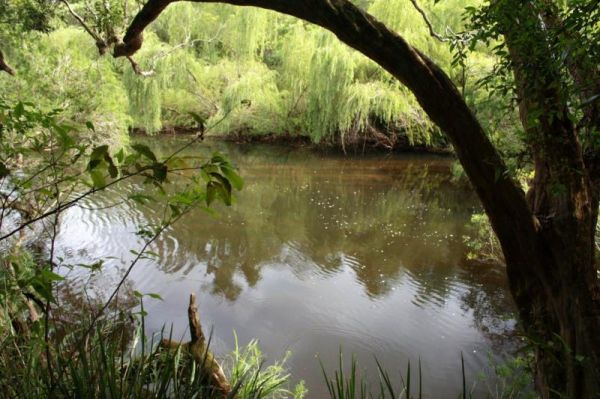 Rocks Crossing Reserve