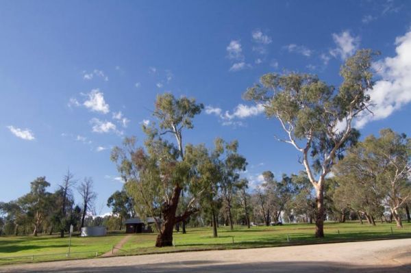 Terramungamine Reserve 24 Hour Limit