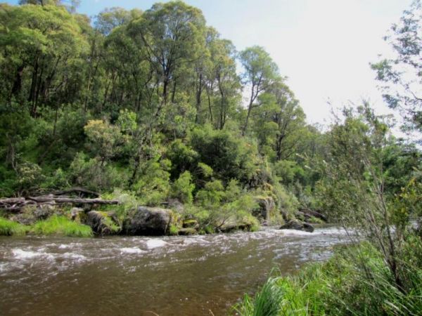 Tom Groggin Camping Area