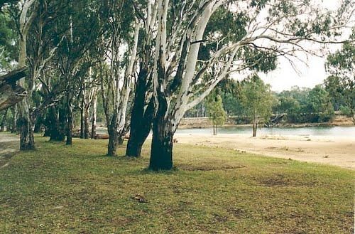 Apex Beach Camping Area