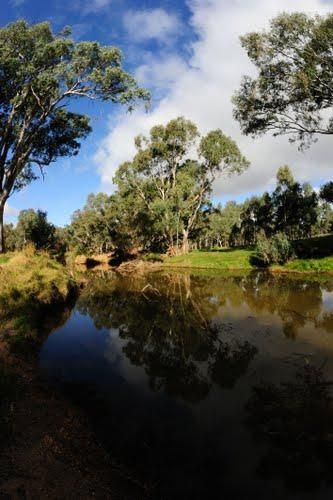 Avoca Lions Park Free Camping