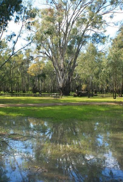 Barmah Lakes Camping Area