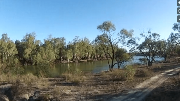 Beggs Bend State Forest Camping Area