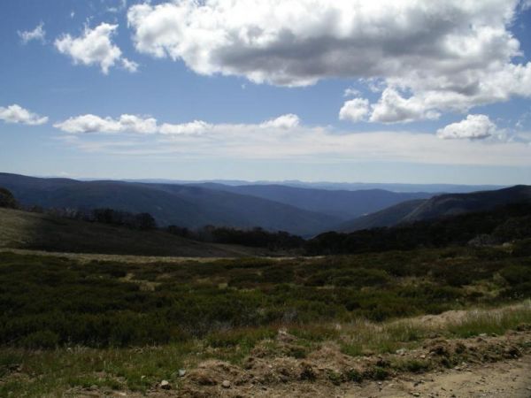 Buckety Plain Camping Area