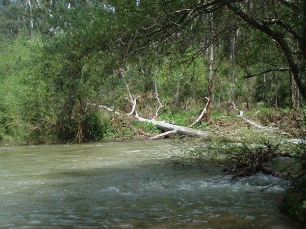 Buckland River Camping Area