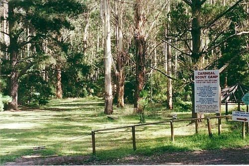 Caringal Scout Camp - Tanjil Tyers State Forest