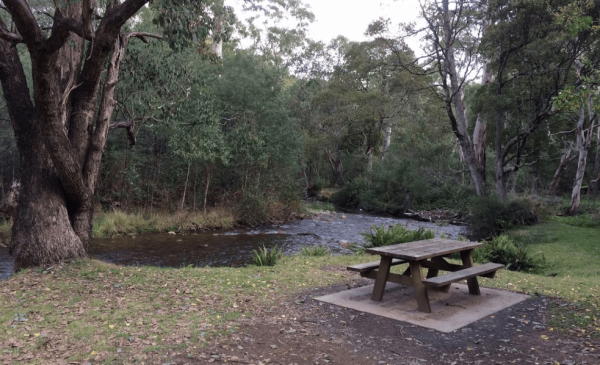 Carters Mill Camping Area