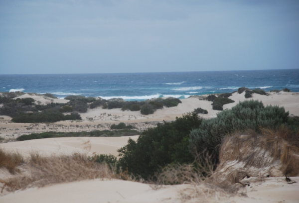 Sheringa Beach Camping Area