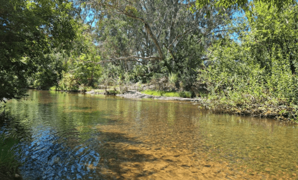 Edi Turnoff Rest Area