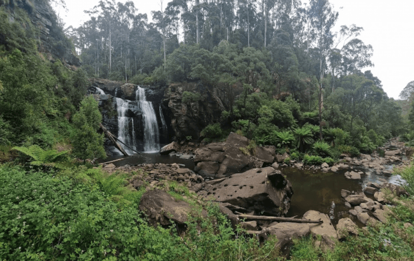 Stevenson Falls Scenic Reserve Rest Area