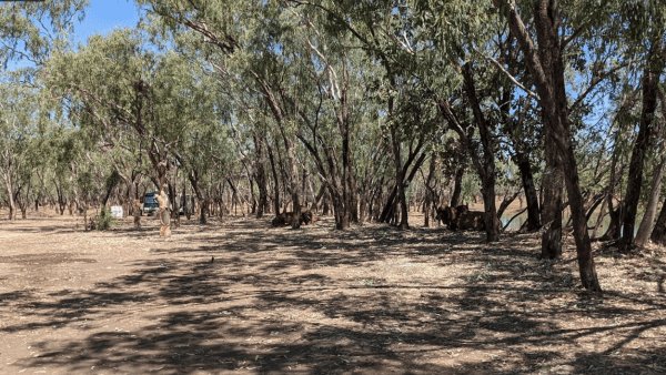 The Lake Camping Area