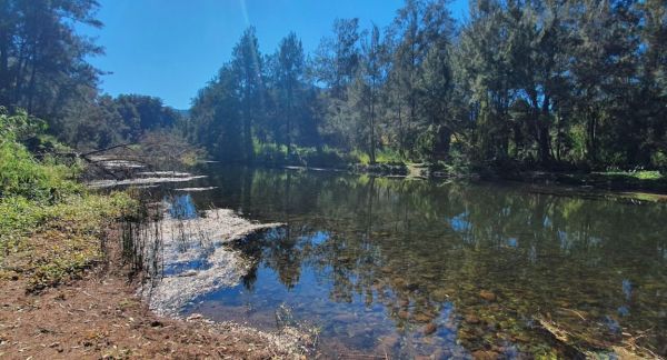 Roses Park Rest Area