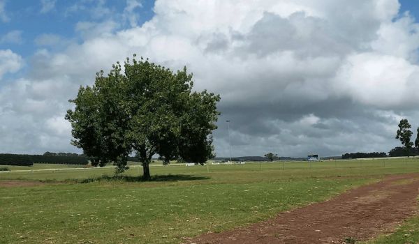 Macarthur Recreation Reserve
