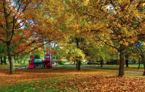 Discovery Parks - Bright