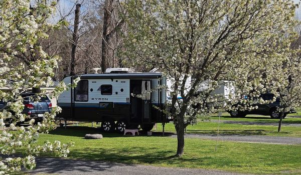 Cobram Willows Caravan Park