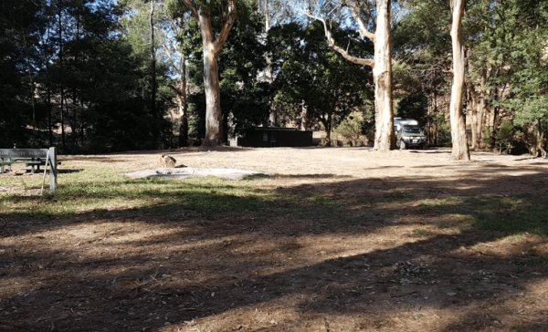 Bass Valley Reserve Rest Area - PERMANENTLY CLOSED
