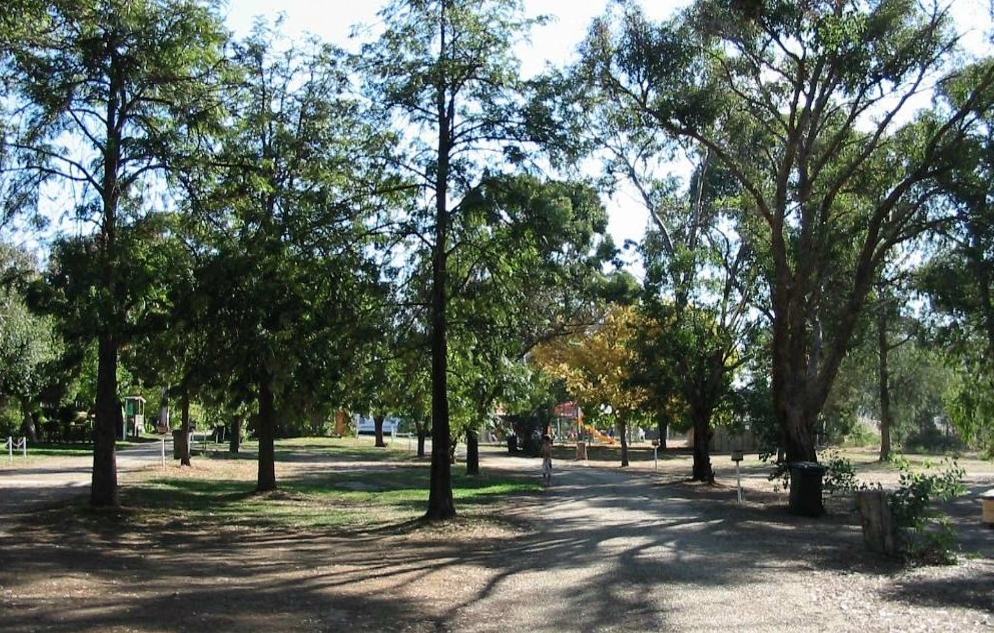 4375.jpg