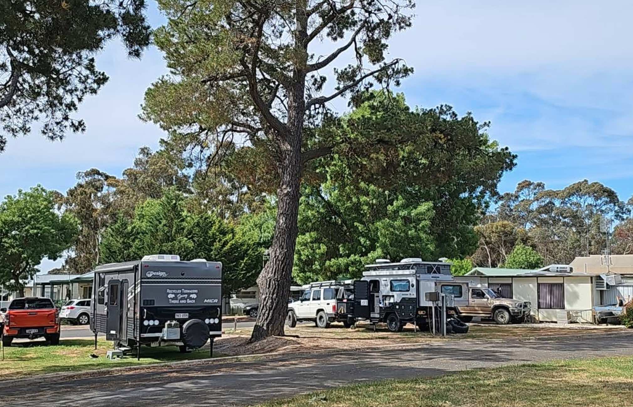 4582.jpg