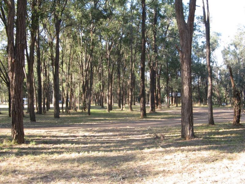 546.jpg