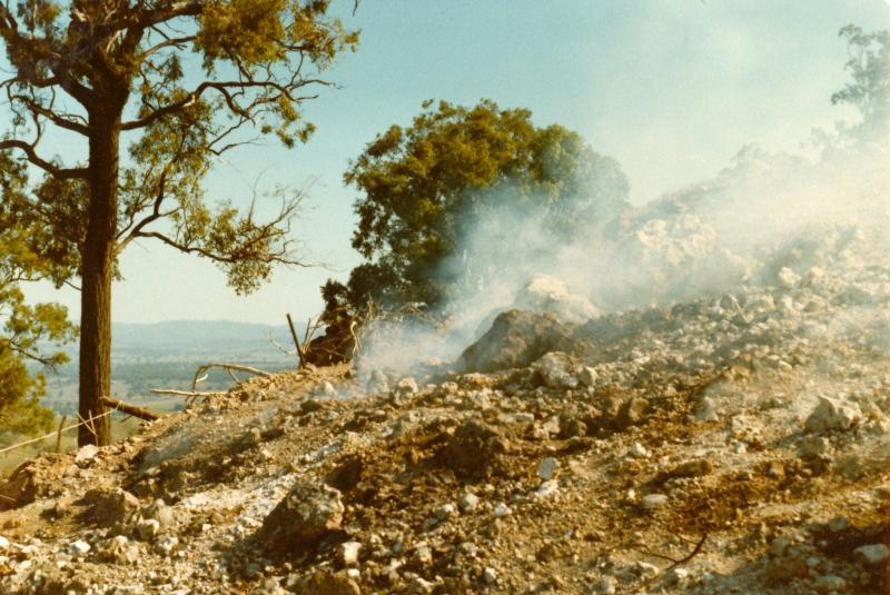 570.jpg